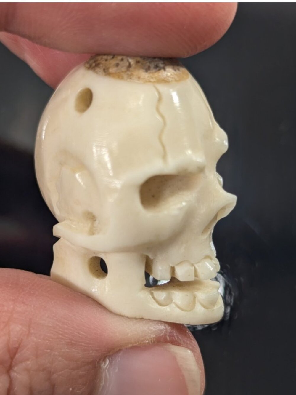 Vintage Memento Mori Deer Antler Carved Skull pendant, human skull bead